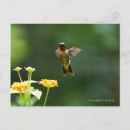 ハミングしてハイハイと言え！ ポストカード