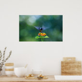 ハミングエンジェルウィングス ポスター (キッチン)