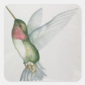 ハミングバエレガントードウィングウォータカラーシール スクエアシール (正面)
