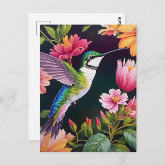 ハミングバカラフルード絵画フローラ ポストカード (正面/裏面)