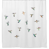 ハミングバーズシャワーカーテン シャワーカーテン (正面)