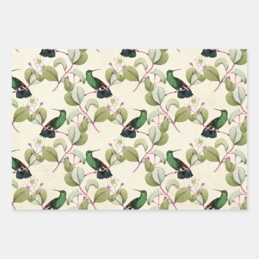 ハミングバーズシリーズデザイン3 ラッピングペーパーシート (正面)