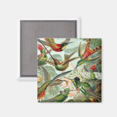 ハミングバーズスクエアマグネット マグネット (正面/裏面)