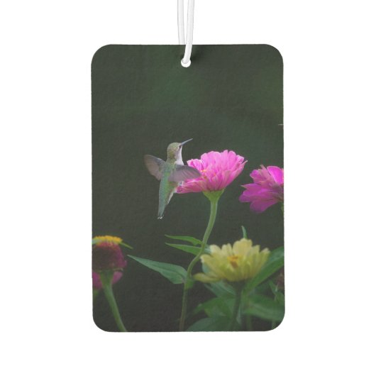 ハミングバーズタイムズツーカーエアーフレッシュナー カーエアーフレッシュナー (裏面)