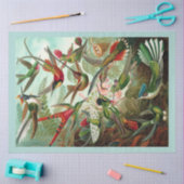 ハミングバーズデカッペティッシュペーパー 薄葉紙 (クラフト)