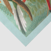 ハミングバーズデカッペティッシュペーパー 薄葉紙 (詳細)
