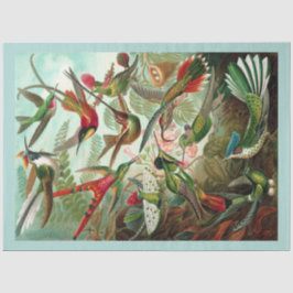 ハミングバーズデカッペティッシュペーパー 薄葉紙