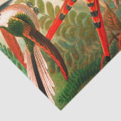 ハミングバーズデカッペティッシュペーパー 薄葉紙 (詳細)