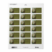 ハミングバーズバイエルンスト・ヘイケル ラベル (フルシート)