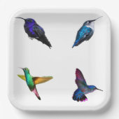 ハミングバーズプレーン背景紙プレート ペーパープレート (正面)