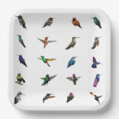 ハミングバーズプレーン背景紙プレート ペーパープレート (正面)