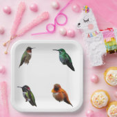 ハミングバーズプレーン背景紙プレート ペーパープレート (パーティー)