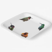 ハミングバーズプレーン背景紙プレート ペーパープレート (傾斜あり)