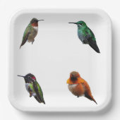 ハミングバーズプレーン背景紙プレート ペーパープレート (正面)