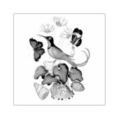 ハミングバーズワイルドライフシェルスクラップブック作り ラバースタンプ (インプリント)