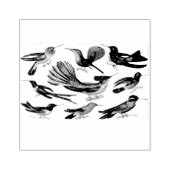 ハミングバーズ混合スクラップブック作りゴム印 ラバースタンプ (インプリント)