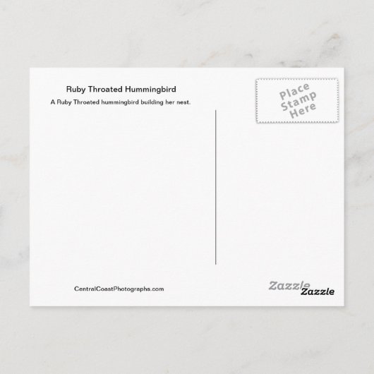 ハミングバードが巣を作る – はがき (裏面)