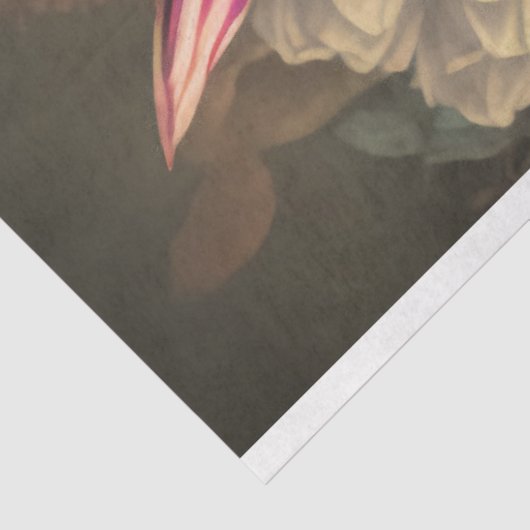 ハミングバードとダークムーディ花模様の分離 薄葉紙 (詳細)