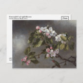 ハミングバードとリンゴの花マーチンJ.ヘード ポストカード (正面/裏面)