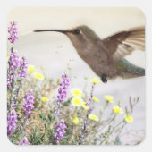 ハミングバードとワイルドフラワーデジタルアートアクセントパイ スクエアシール (正面)