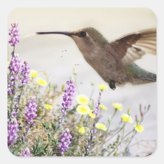 ハミングバードとワイルドフラワーデジタルアートアクセントパイ スクエアシール (正面)