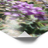 ハミングバードとワイルドフラワーデジタルアート フォトプリント            (角)