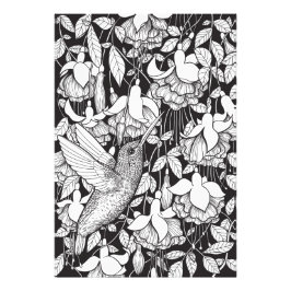 ハミングバードと明るい赤紫色 フォトプリント           