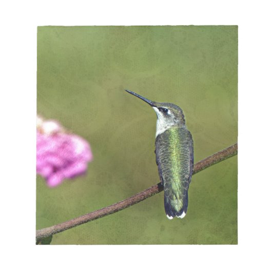 ハミングバードと《植物》百日草 ノートパッド (正面)