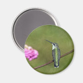 ハミングバードと《植物》百日草 マグネット (正面/裏面)