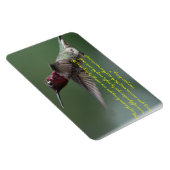 ハミングバードとApacheことわざ マグネット (右側)