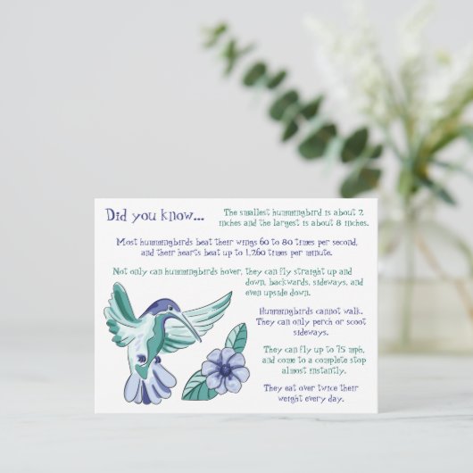 ハミングバードに関するおもしろい ポストカード (スタンド正面)