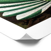 ハミングバードのポスター ポスター (角)