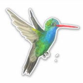ハミングバードの水彩画絵画像 シール (正面)