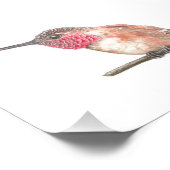 ハミングバードの水色 フォトプリント            (角)