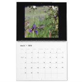 ハミングバードの12ヶ月カレンダー。 カレンダー (3月 2026)