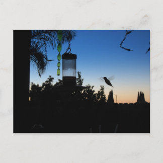 ハミングバードアットサンセット ポストカード