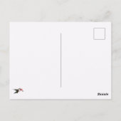 ハミングバードアット（鳥）ショウジョウコウカンチョウフラワー ポストカード (裏面)