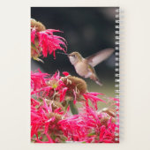 ハミングバードアリストテレス哲学引用文 ノートブック (裏面)