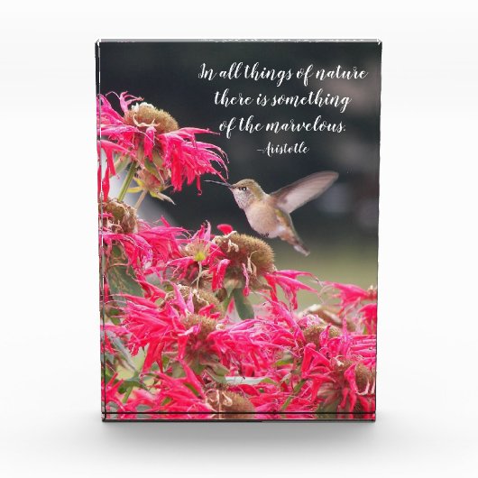 ハミングバードアリストテレス哲学引用文 フォトブロック (正面)