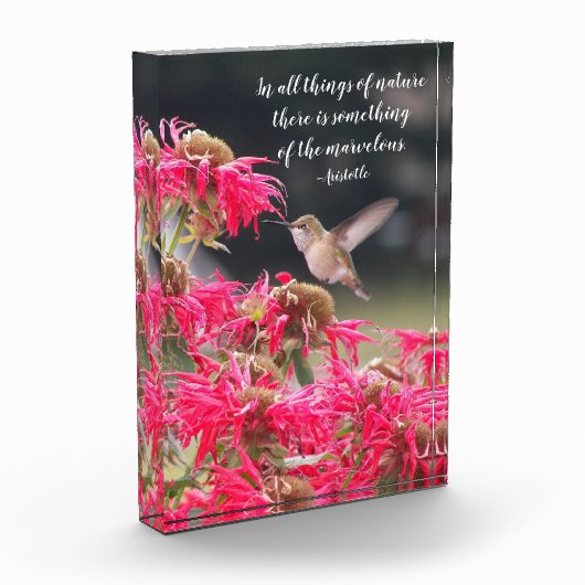 ハミングバードアリストテレス哲学引用文 フォトブロック (左)