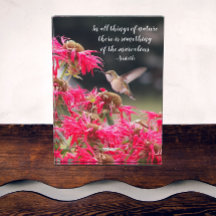 ハミングバードアリストテレス哲学引用文