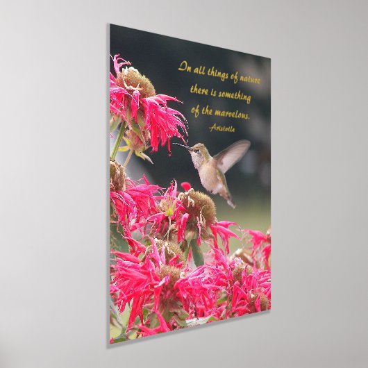 ハミングバードアリストテレス哲学引用文 箔ポスター (レイダウン)