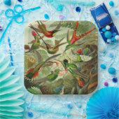 ハミングバードイラストレーションバイエルンストヘイケル ペーパープレート (パーティー)