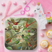 ハミングバードイラストレーションバイエルンストヘイケル ペーパープレート (パーティー)