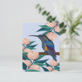ハミングバードイラストレーション ポストカード (スタンド正面)