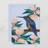 ハミングバードイラストレーション ポストカード (正面/裏面)