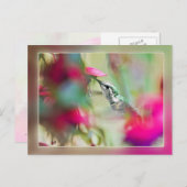 ハミングバードインソフト明るい赤紫色 ポストカード (正面/裏面)