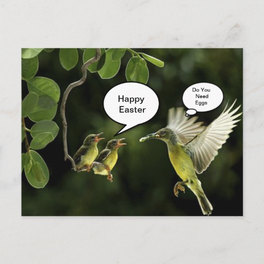 ハミングバードイースターグリーティング シーズンポストカード (正面)