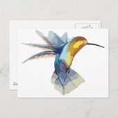 ハミングバードウォーターの色の平和なスケッチ ポストカード (正面/裏面)