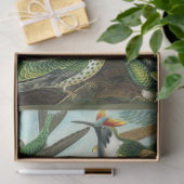 ハミングバードエルンストヘイケルデクページティッシュペーパー 薄葉紙 (ギフト)